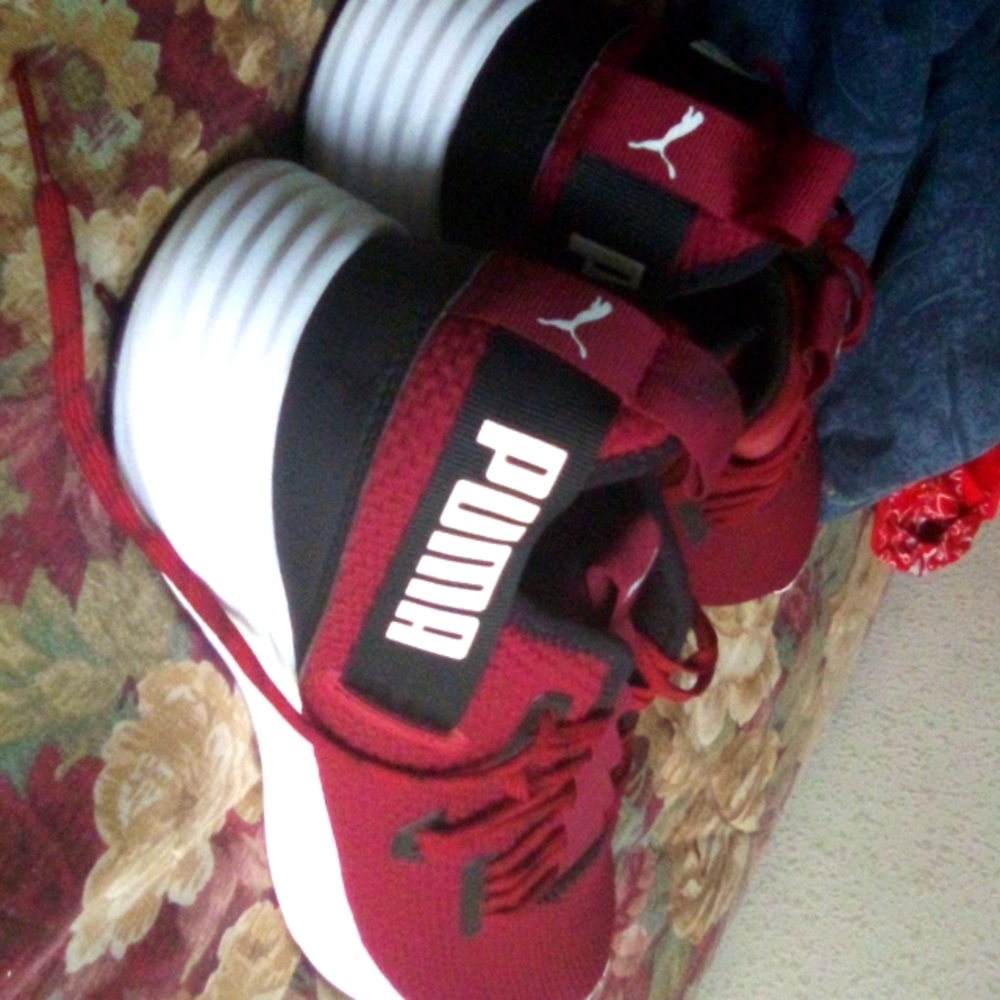 Puma